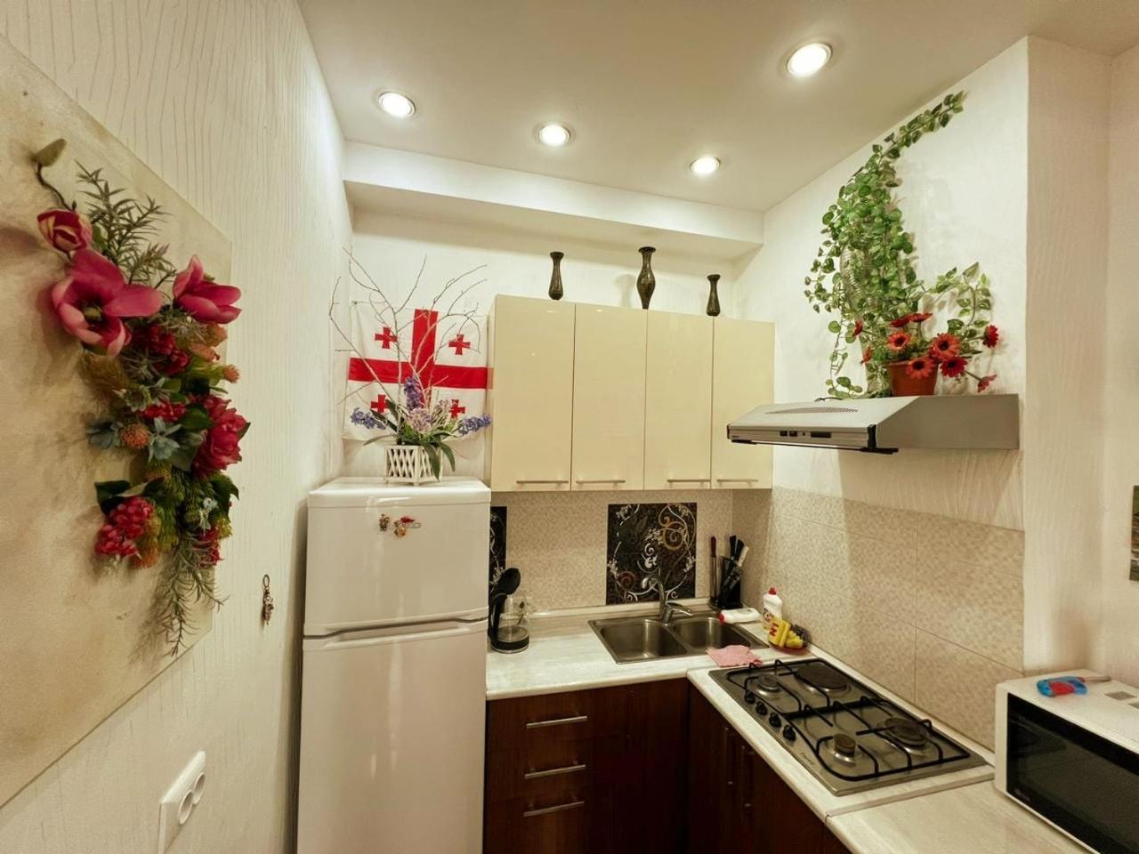 Cozy Apartment In The City Center Mtatsminda ティビリシ エクステリア 写真